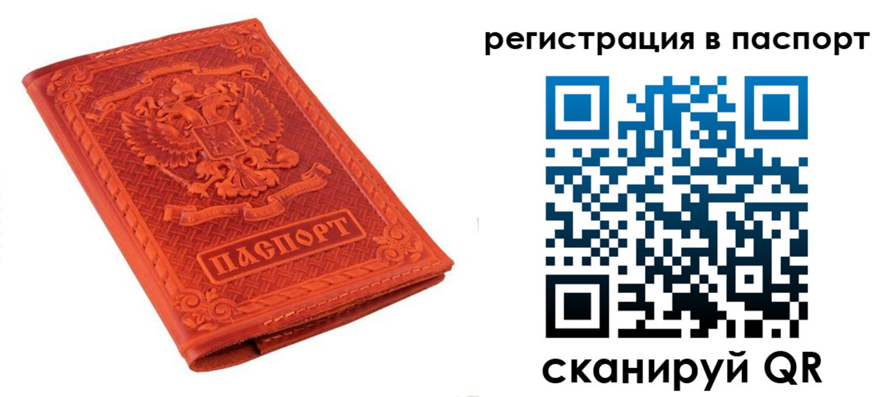 прописка паспорт в Бабаево